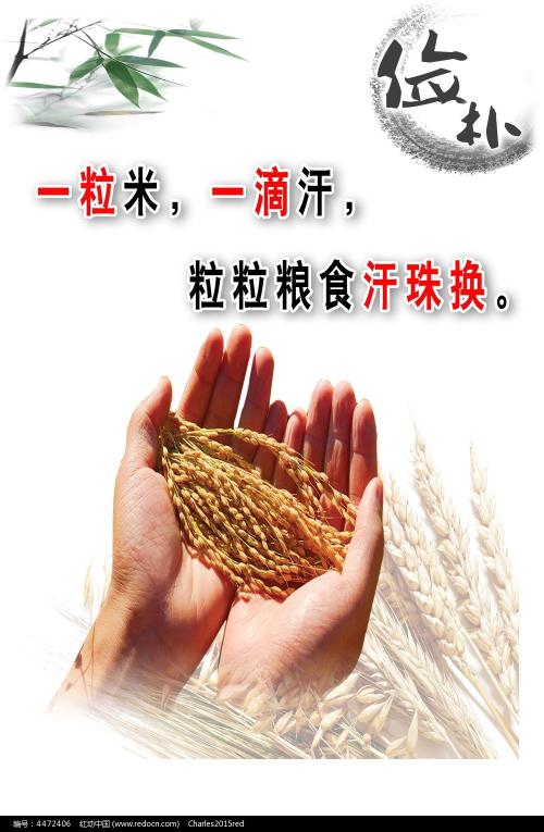 买个假的卢旺达驾驶证
